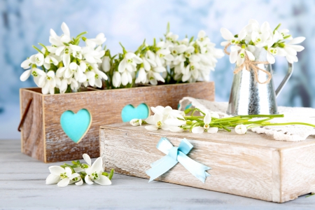 Snowdrops - white, love, gift, heart, delicate, snowdrops, flowers, spring