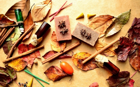 Leaves - brown, cinnamon, barberry, leaves, bottles, berries