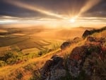 bright sunrise over fields