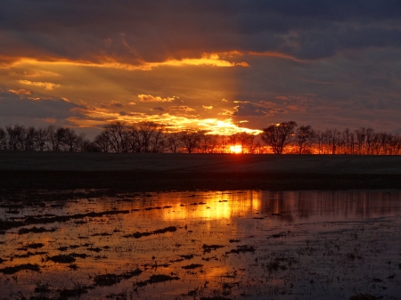 The Sunset - sky, trees, water, sunset