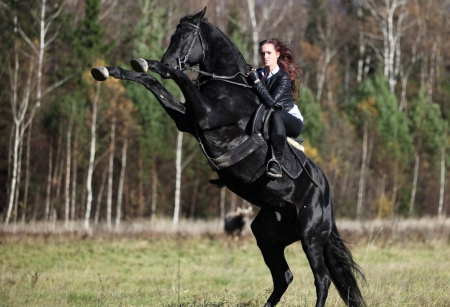 Wild horse - riding, nature, horse, woman