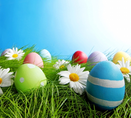 Easter Time - eggs, easter, camomile, daisy, flowers, meadow, grass, spring