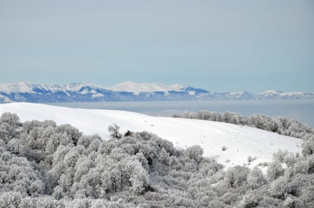 Beautiful Winter View - trees, winter, nature, photography, snow, photo, Bulgaria, mountain