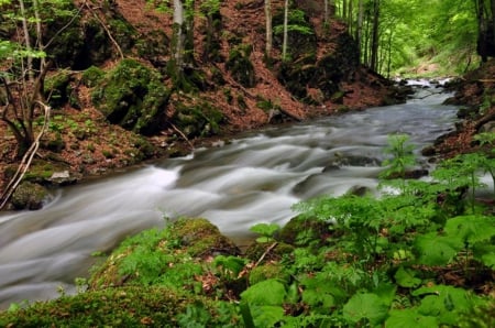 Beautiful River - forest, water, beautiful, photo, river, photography, trees, nature, bulgaria, green