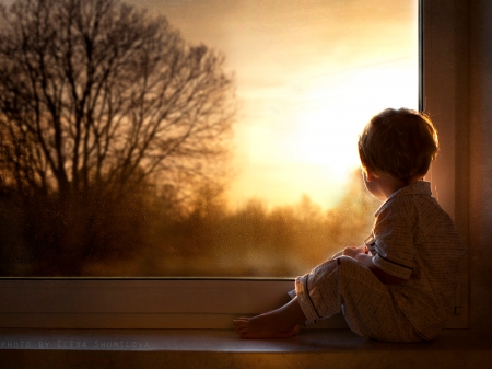 Waiting For a New Spring - love, child, sunset, spring, nature, window, splendor, tree, sunrise