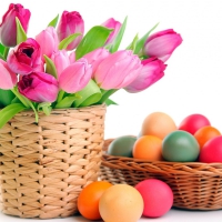 Tulips and Eggs