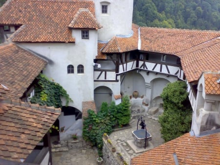 Bran Castle, Romania - romania, bran castle, castle, travek, old, castles