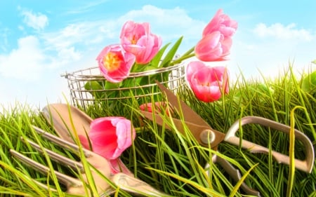 Pink tulips - pink, tulips, flowers, tools, garden, grass