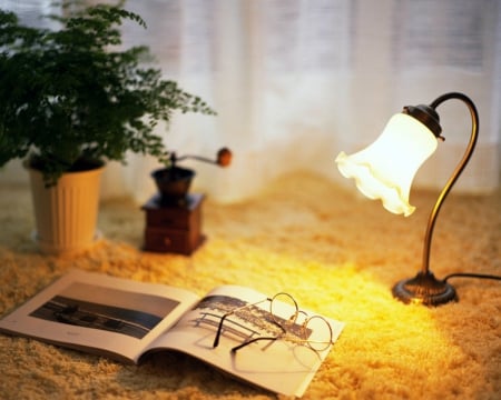 Night study - lamp, light, glasses, book