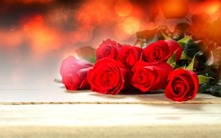 Red roses - flowers, red, roses, petals