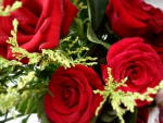 Red roses