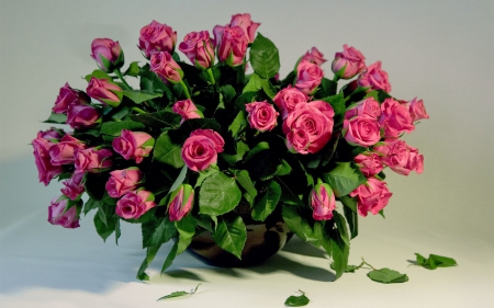 pink roses bouquet - roses, pink, bouquet, still life, vase