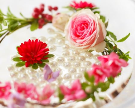 Beautiful flowers - flowers, rose, petals, pearl