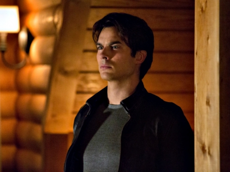 Ian Somerhalder as Damon