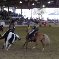 Rodeo Cowgirls