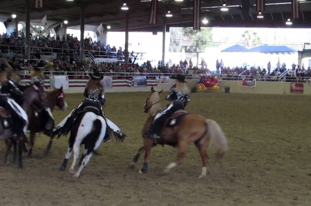 Rodeo Cowgirls - women, crowds, fun, female, hats, girls, cowgirls, rodeo, horses, contests, westerns