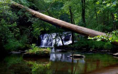 Waterfall - river, forest, nature, waterfall