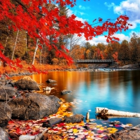 The Beauty Autumn