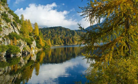 Alpine Lake, Italy - autumn, trees, reflection, forest, beautiful, water, mountains