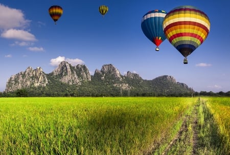 Field - colorful, road, balloons, field, mountains