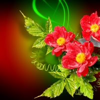 Flowers background