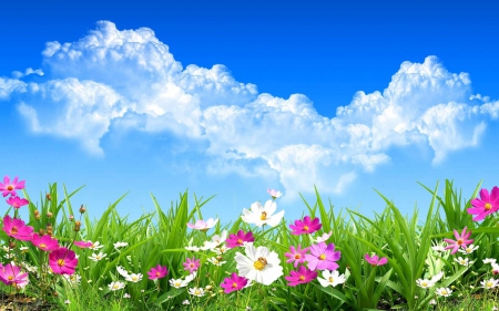 Spring Day - sky, clouds, bees, flowers, grass, spring