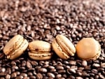 Coffee Beans and Macarons