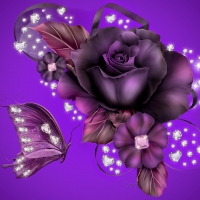 Purple Rose