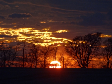 Good Night Mr. Sun - cloud, sky, clouds, trees, sunset, sun