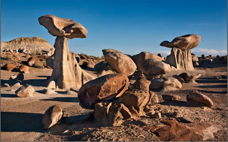 Bisti Badlands, New Mexico - Canyon, New Mexico, Desert, Nature