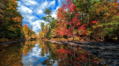 Reflection In Water - Trees, Water, Nature, River, Reflection