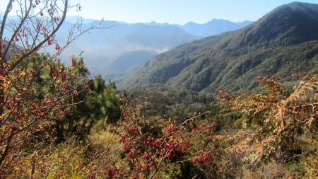 Mountain scenery - Mountain, nature, scenery, tree