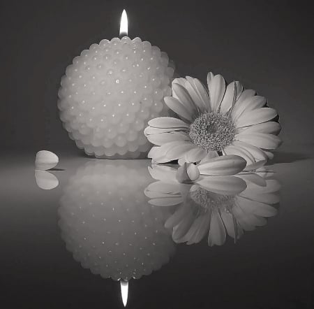 ~ âœ¿ ~ - candle, style, one color, beauiful