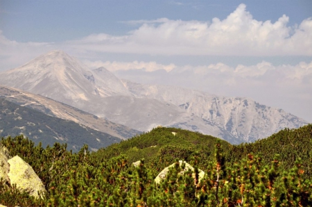 Mountain - photo, photography, nature, mountain, bulgaria, green