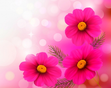 Beautiful flowers - bokeh, flowers, petals, pink