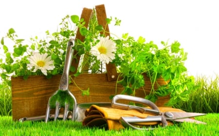 Day at the garden - flowers, grass, tools, garden