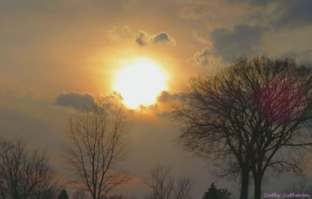 Before The Sunset; Before The Storm - sky, trees, sun, sunset, limbs, spring, storm, nature, clouds