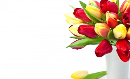 * Lovely tulips * - flowers, colorful, tulips, spring, colors