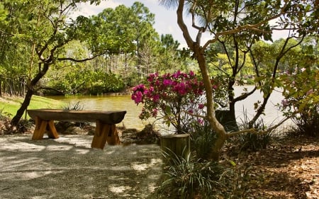 Garden - park, tree, bench, garden, pond