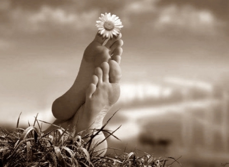 :) - nature, beautiful, light and dark, black and white, field, flower, feet