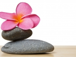 Stones and Plumeria