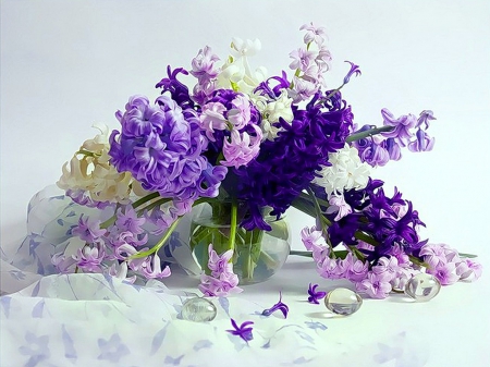 Hyacinths - flowers, hyacinths, white, nature, purple, beauty, spring, pink