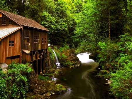 Grist Mill - nature, forest, trees, river, water