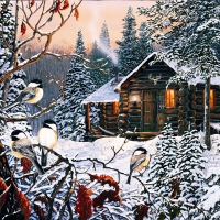 Winter Cottage