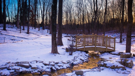 golden stream under a wooden bridge - forest, winter, stream, bridge, rocks