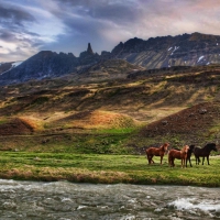 horses on the banks of a flowing river hdr