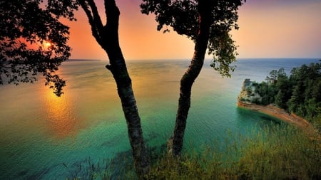 gorgeous cove at sunset hdr - cliff, cove, coast, tree, sunset, sea