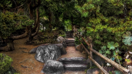 Trail Across Beauty Nature - trees, dark, beautiful, green, fences, garden