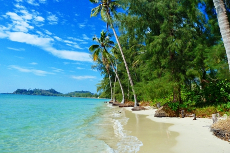 Klong Prao Beach, Thailand - sand, beautiful, beach, palms, trees, sea, paradisiac