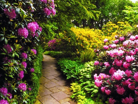 Alley of flowers - greenery, pretty, trees, alley, beautiful, bushes, spring, lovely, walk, flowers, garden, park